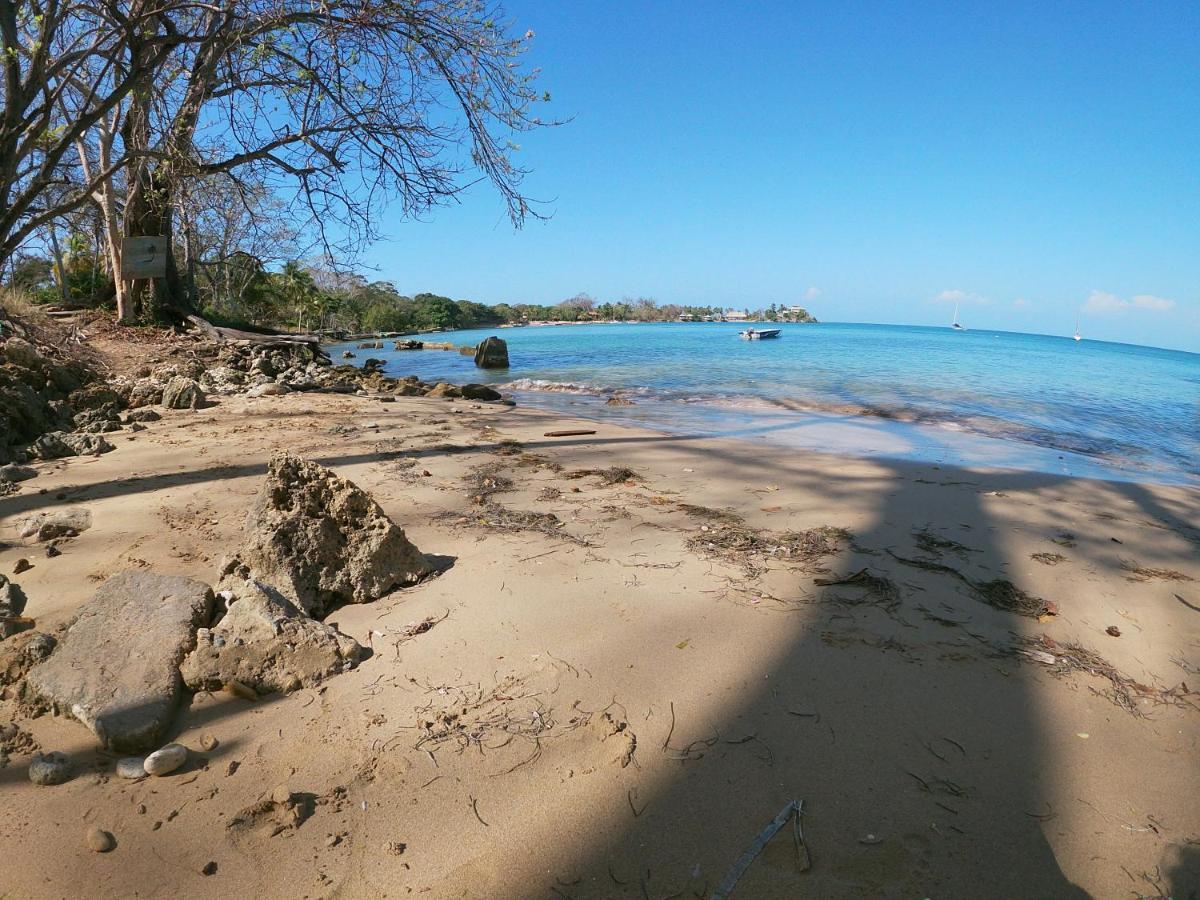 Private Beach House Maloka Surf Puerto Limon Bagian luar foto