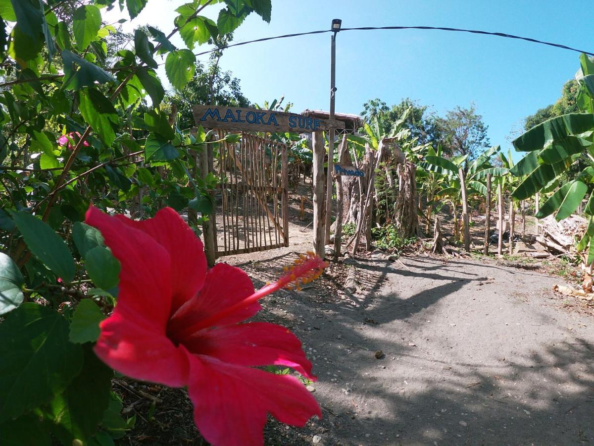 Private Beach House Maloka Surf Puerto Limon Bagian luar foto
