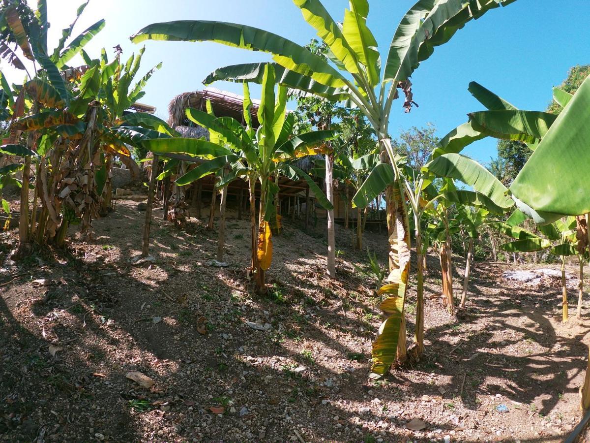 Private Beach House Maloka Surf Puerto Limon Bagian luar foto